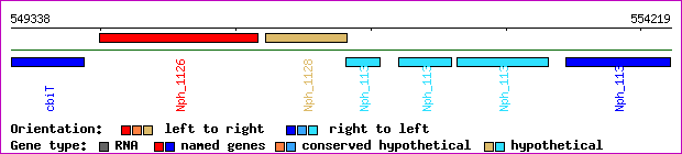 gene map
