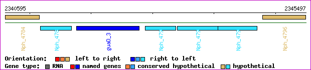 gene map