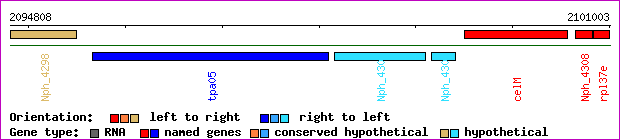 gene map