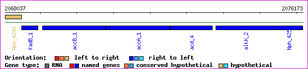 gene map
