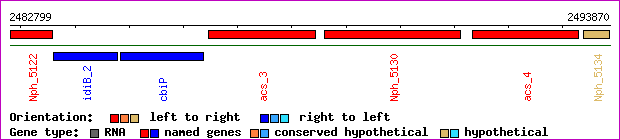 gene map