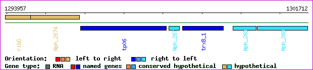 gene map