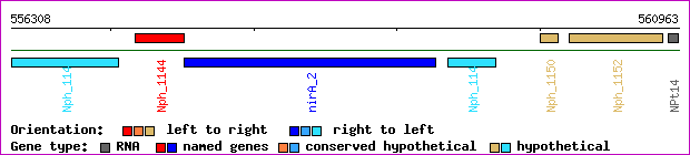 gene map