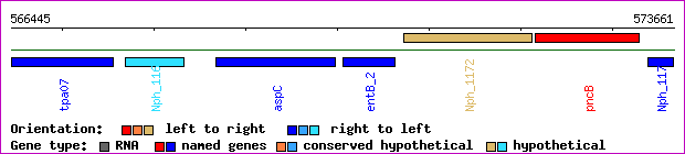 gene map