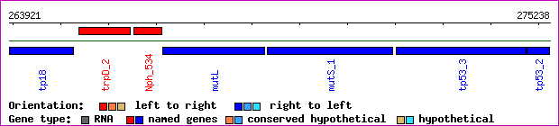 gene map