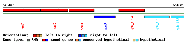 gene map