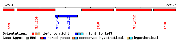 gene map