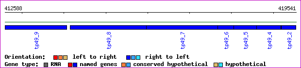 gene map
