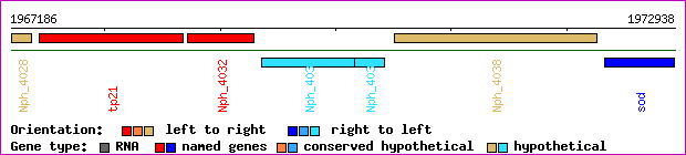 gene map