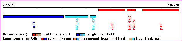 gene map
