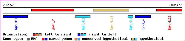 gene map