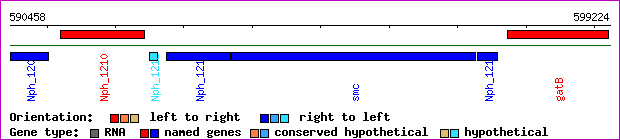 gene map