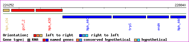 gene map