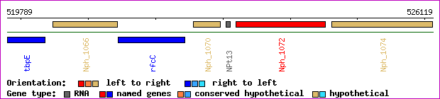 gene map