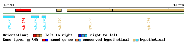 gene map