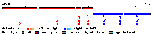 gene map