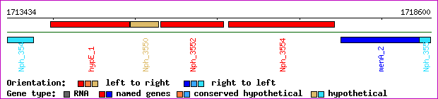 gene map