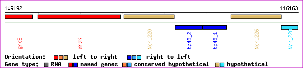 gene map