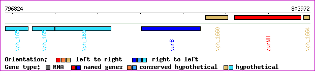 gene map