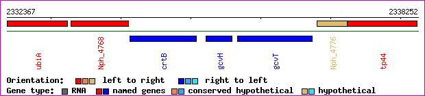 gene map