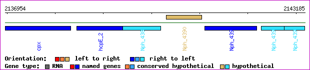gene map