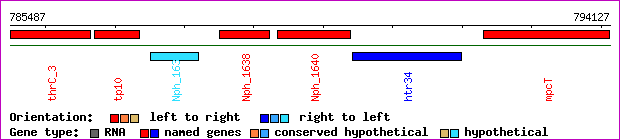 gene map