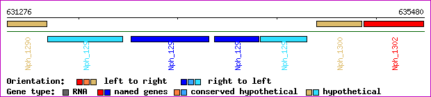 gene map