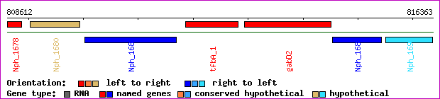 gene map