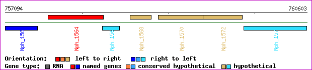 gene map