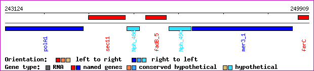 gene map
