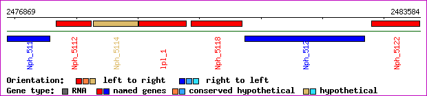 gene map