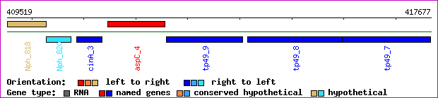 gene map