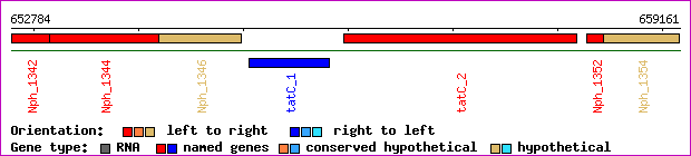 gene map