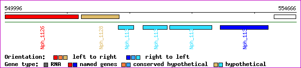 gene map