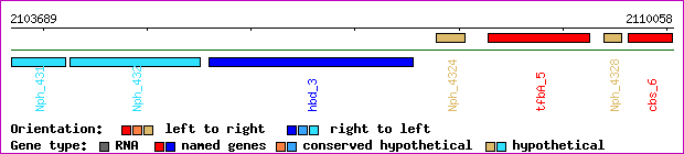 gene map