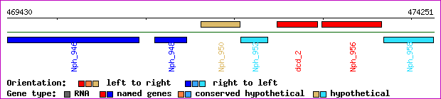 gene map