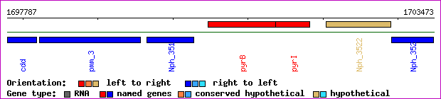 gene map