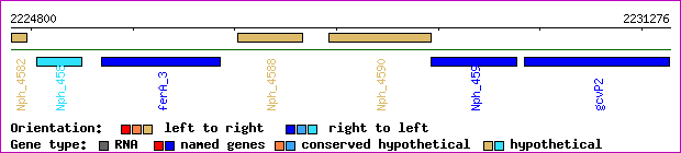gene map