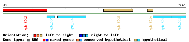 gene map