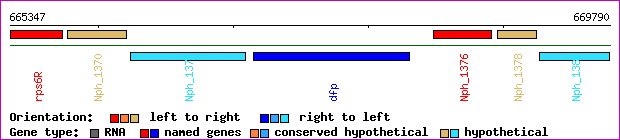 gene map