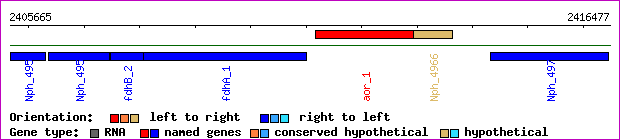 gene map