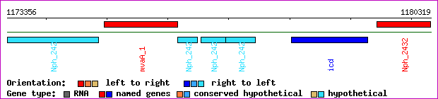 gene map