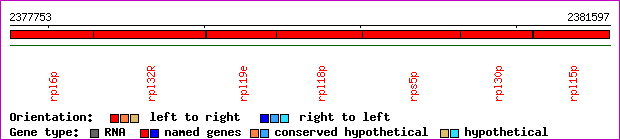 gene map