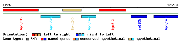 gene map