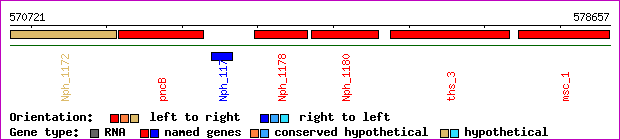 gene map