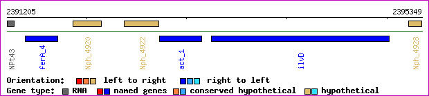 gene map