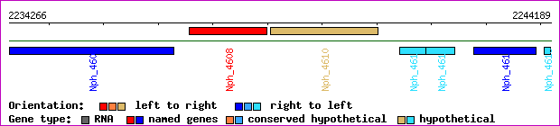 gene map