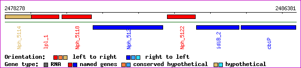 gene map