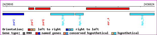 gene map