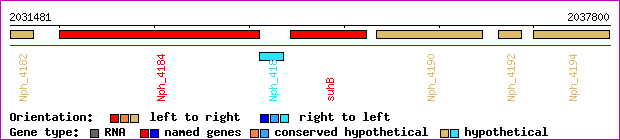 gene map